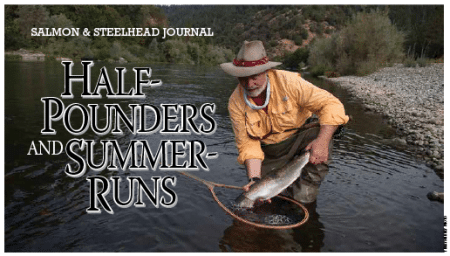 Salmon & Steelhead Journal