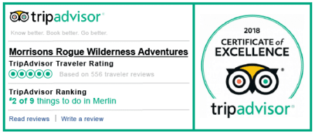 Reviews from Trip Advisor. Score 5 out of 5. Certificate of Excellence.