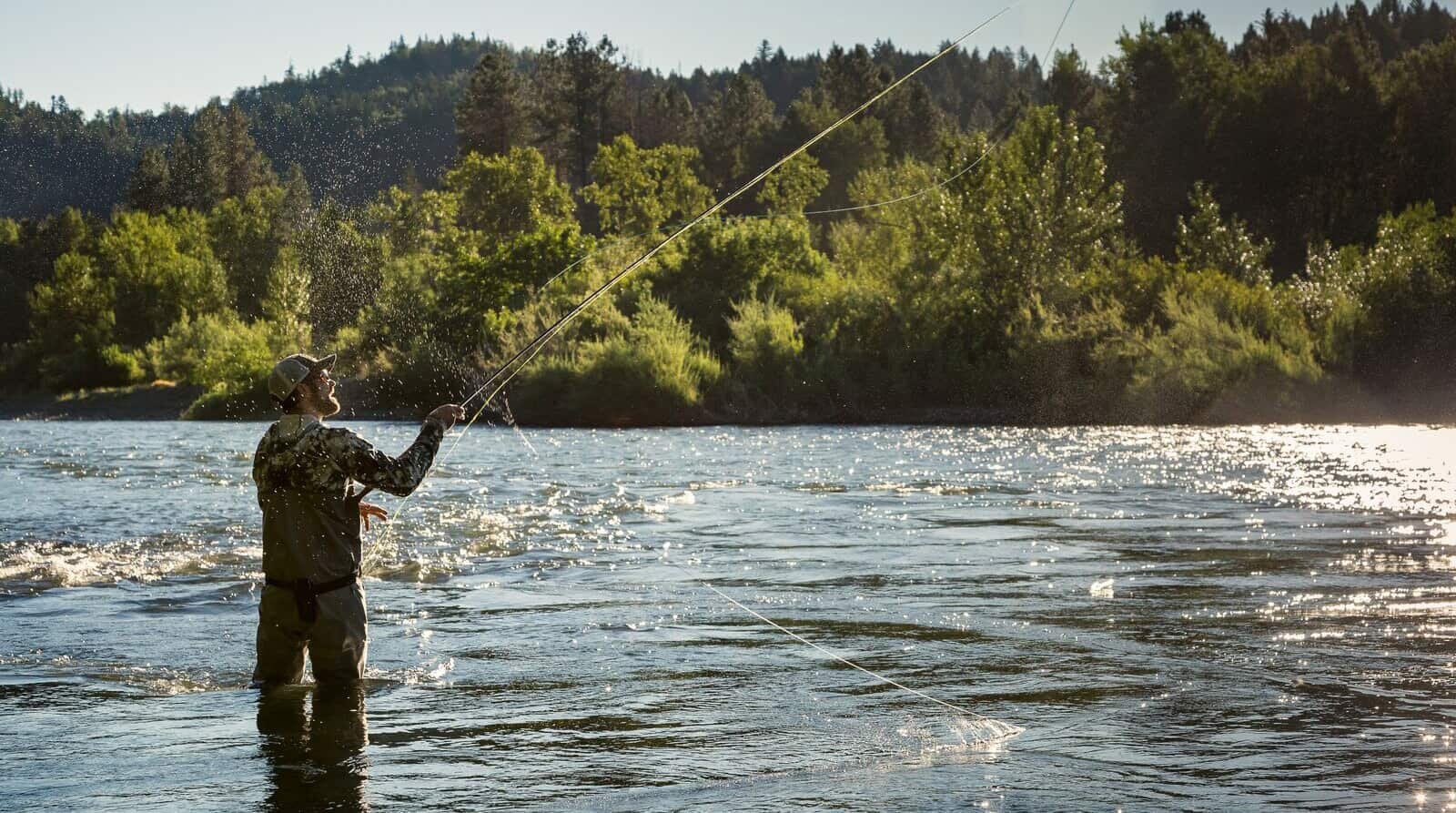 Rogue River Fishing Guides: Your Expert Partners for Fishing Adventures  